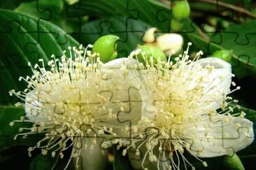 OK jigsaw puzzle