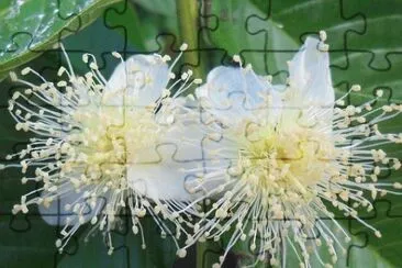 OK jigsaw puzzle