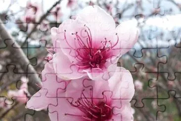 OK jigsaw puzzle