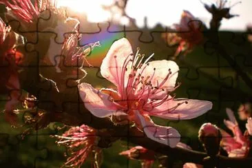 OK jigsaw puzzle