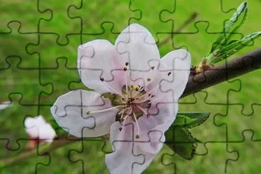 OK jigsaw puzzle