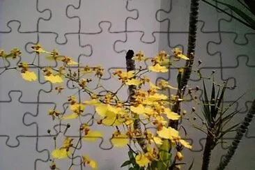 0K jigsaw puzzle