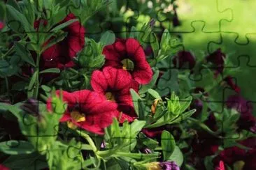 OK jigsaw puzzle