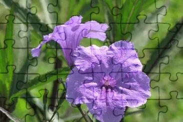 OK jigsaw puzzle