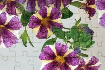 OK jigsaw puzzle