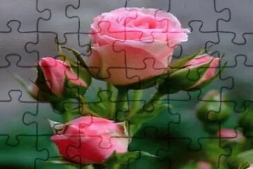 797