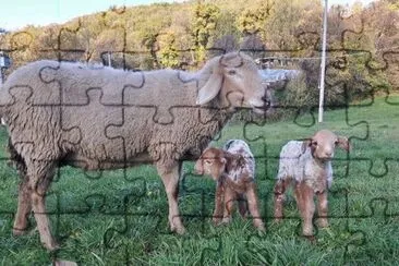 Brogna jigsaw puzzle