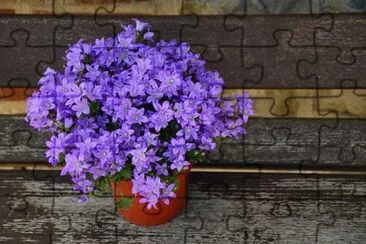 OK jigsaw puzzle