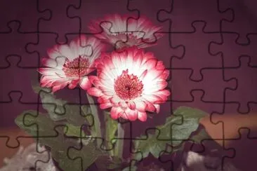 OK jigsaw puzzle