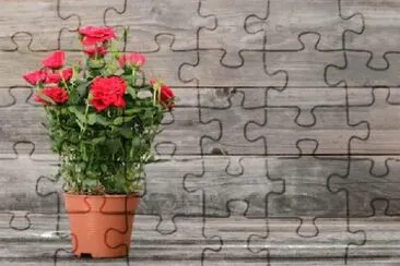 OK jigsaw puzzle
