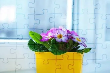 OK jigsaw puzzle