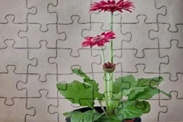 OK jigsaw puzzle