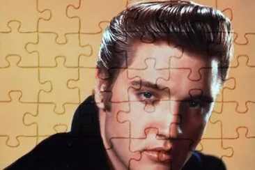 Elvis 50