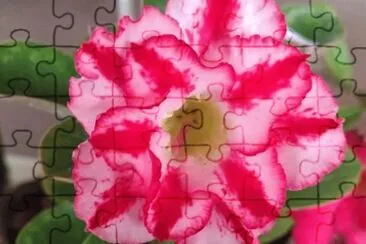 OK jigsaw puzzle