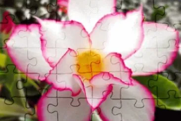 OK jigsaw puzzle