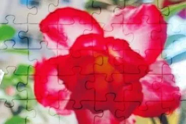 OK jigsaw puzzle