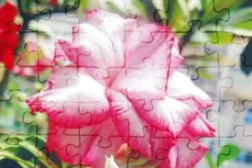 OK jigsaw puzzle