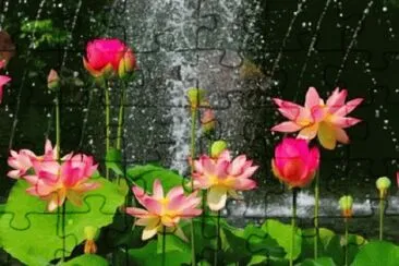 OK jigsaw puzzle