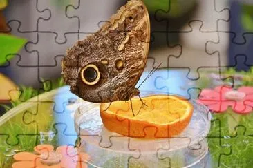 Foto jigsaw puzzle