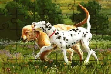 Foto jigsaw puzzle
