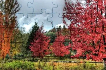 Foto jigsaw puzzle