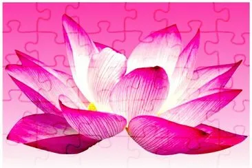 Lotus jigsaw puzzle