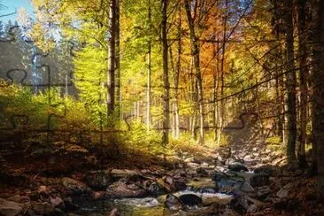 Foto jigsaw puzzle