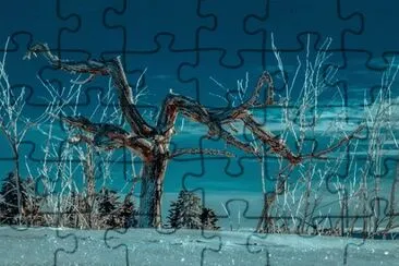 Foto jigsaw puzzle