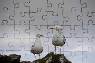 Foto jigsaw puzzle