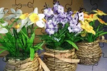 Foto jigsaw puzzle