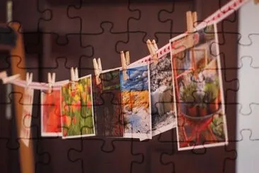 jigsaw puzzle