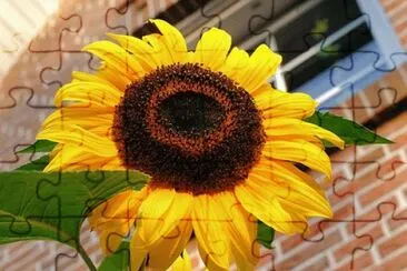 Foto jigsaw puzzle