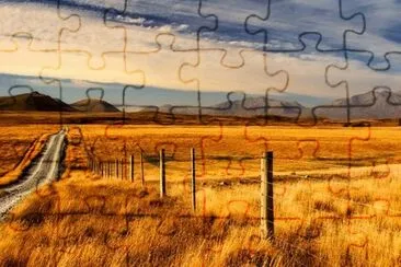 Toy jigsaw puzzle