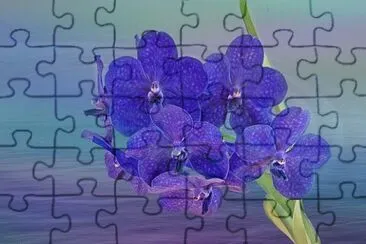 Toy jigsaw puzzle