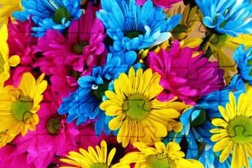 Toy jigsaw puzzle