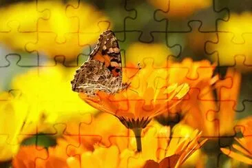 Toy jigsaw puzzle