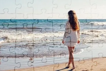 Toy jigsaw puzzle