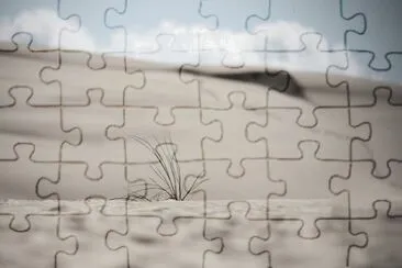 Toy jigsaw puzzle
