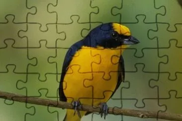 Foto jigsaw puzzle