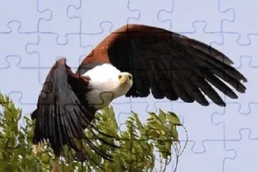Foto jigsaw puzzle