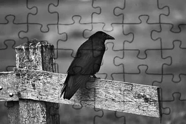 Foto jigsaw puzzle