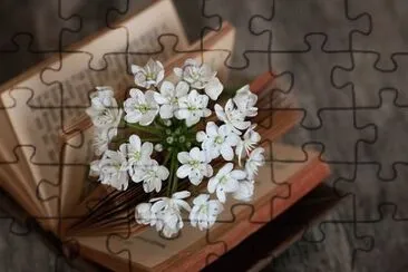 Foto jigsaw puzzle