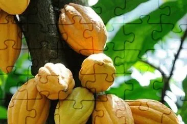 imagem jigsaw puzzle