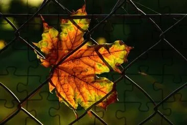 Foto jigsaw puzzle