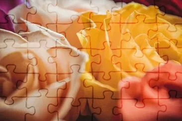 Imagem jigsaw puzzle