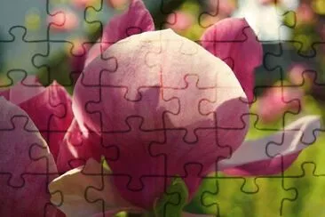 Foto jigsaw puzzle