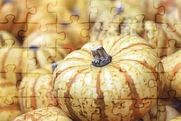 Foto jigsaw puzzle