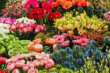 Foto jigsaw puzzle