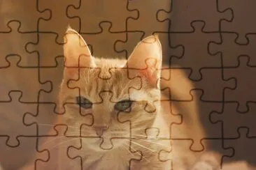 Foto jigsaw puzzle
