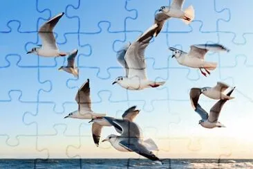 Foto jigsaw puzzle